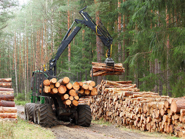 Forestry-And-Farming